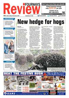 Fourways Review 16 November, 2018