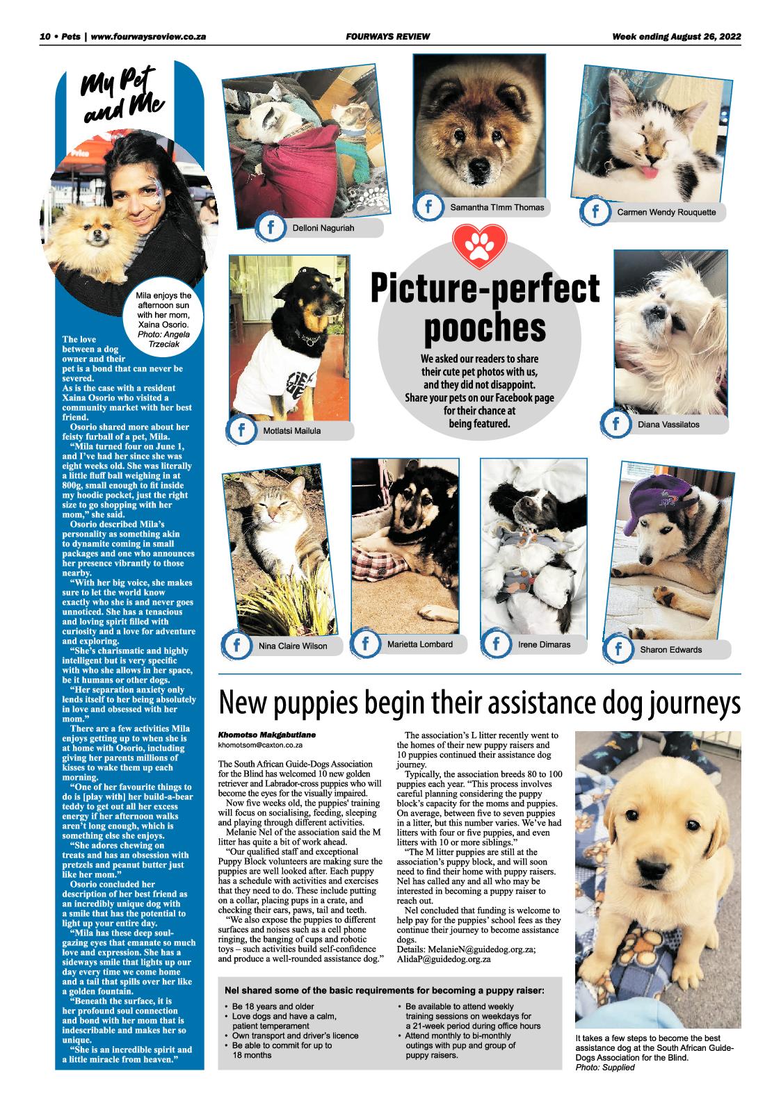 Fourways Review August 26 2022 page 10