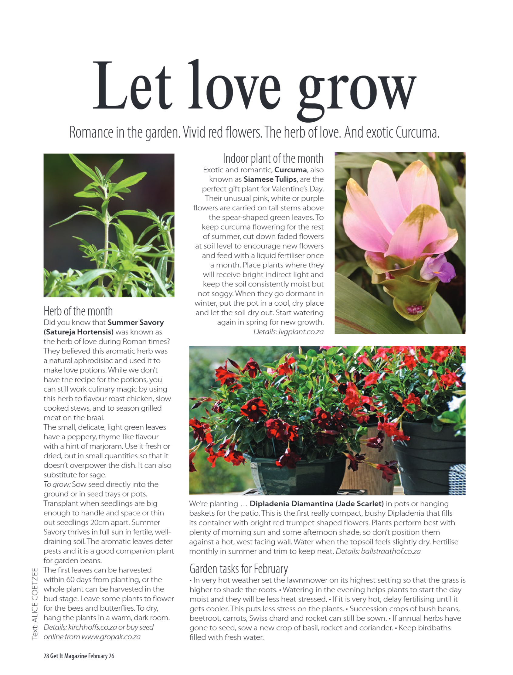 GET IT JHB NORTH FEB 2026 page 28