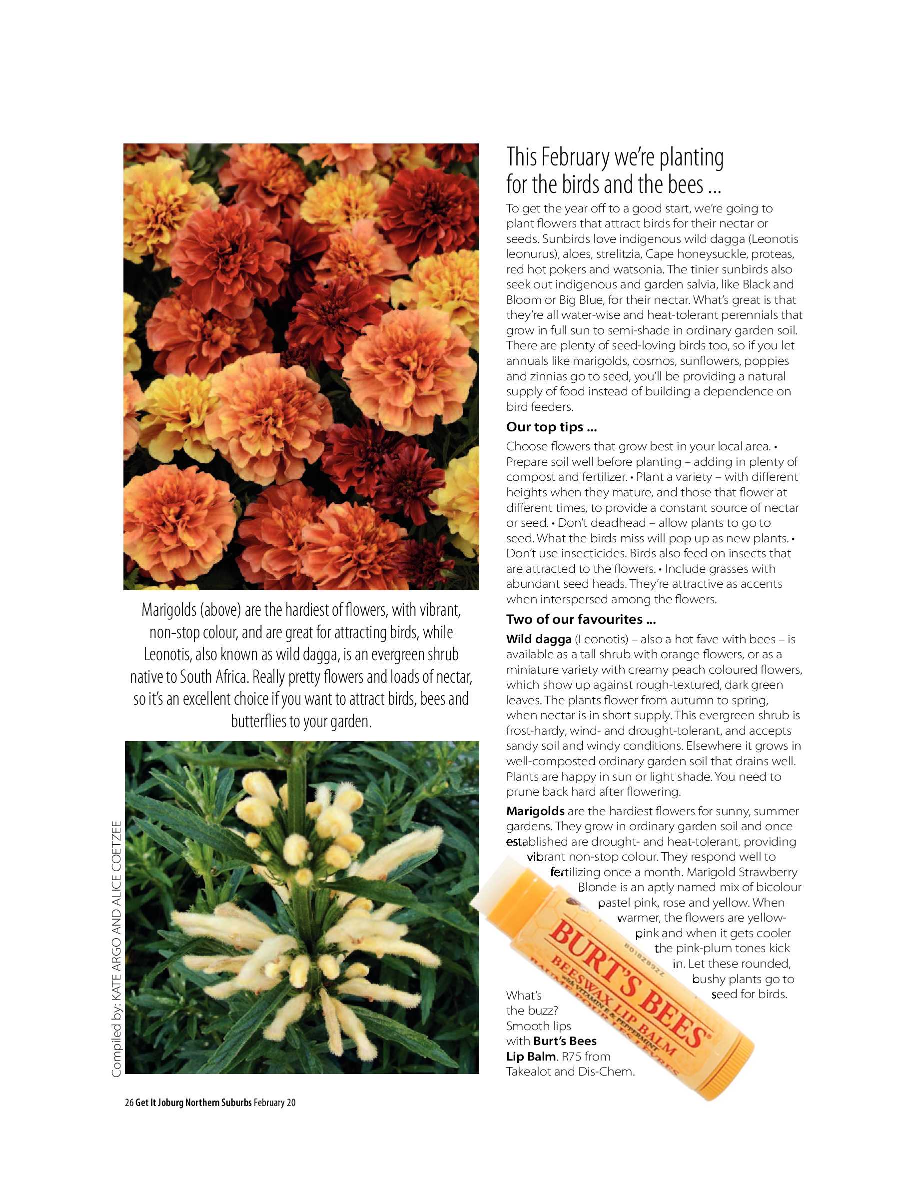 Get It Joburg North February 2020 page 26