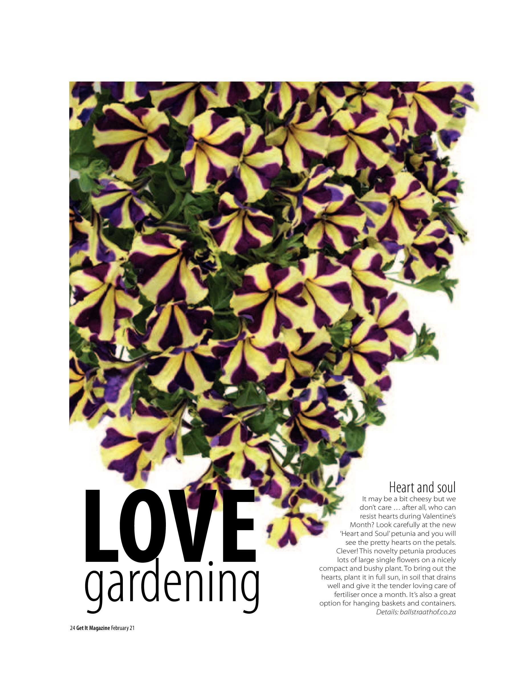 Get It Joburg North February 2021 page 24