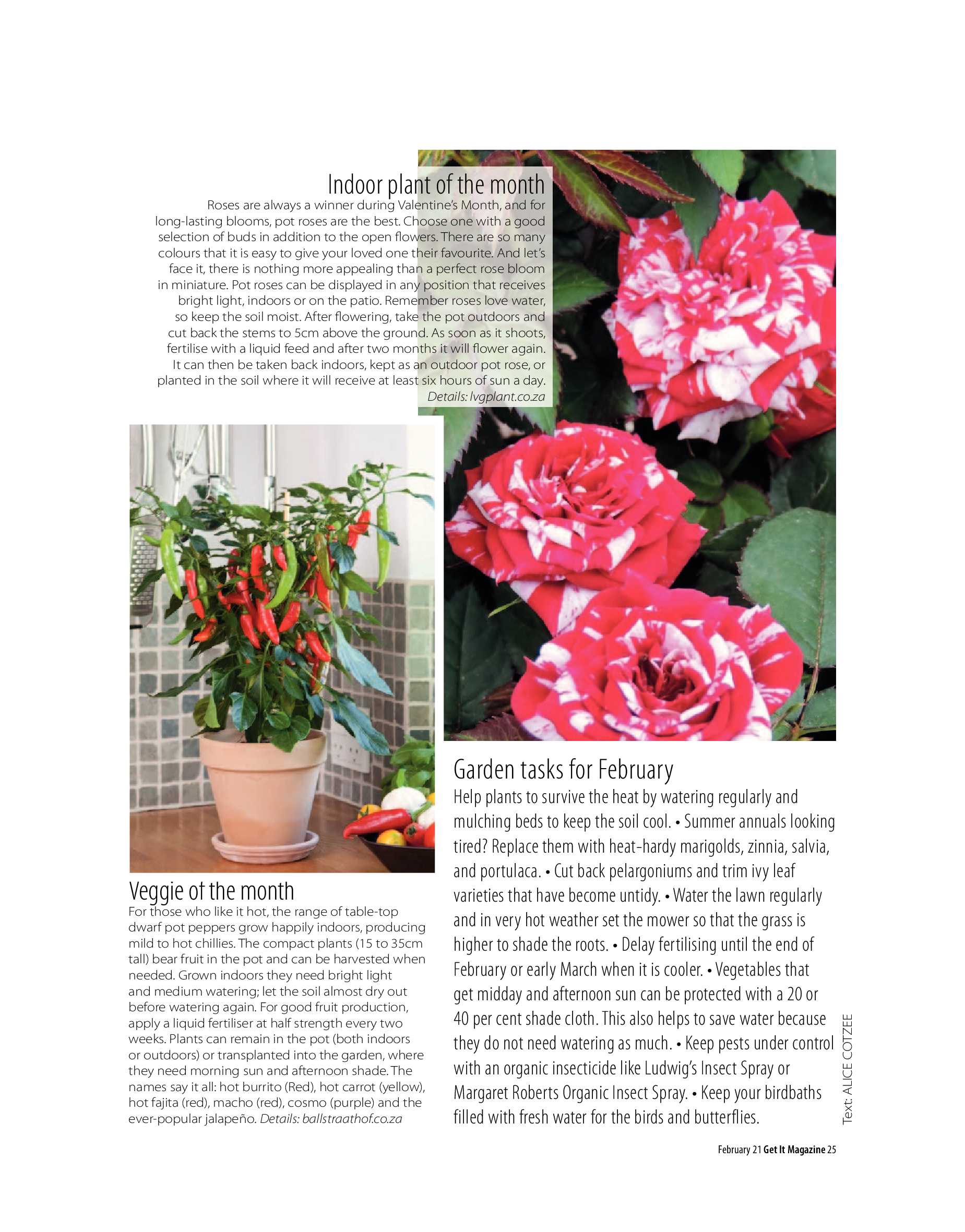 Get It Joburg North February 2021 page 25