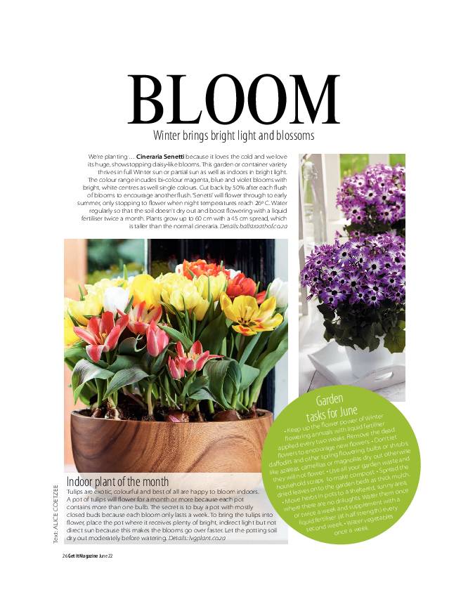 Get It Joburg North June 2022 page 26