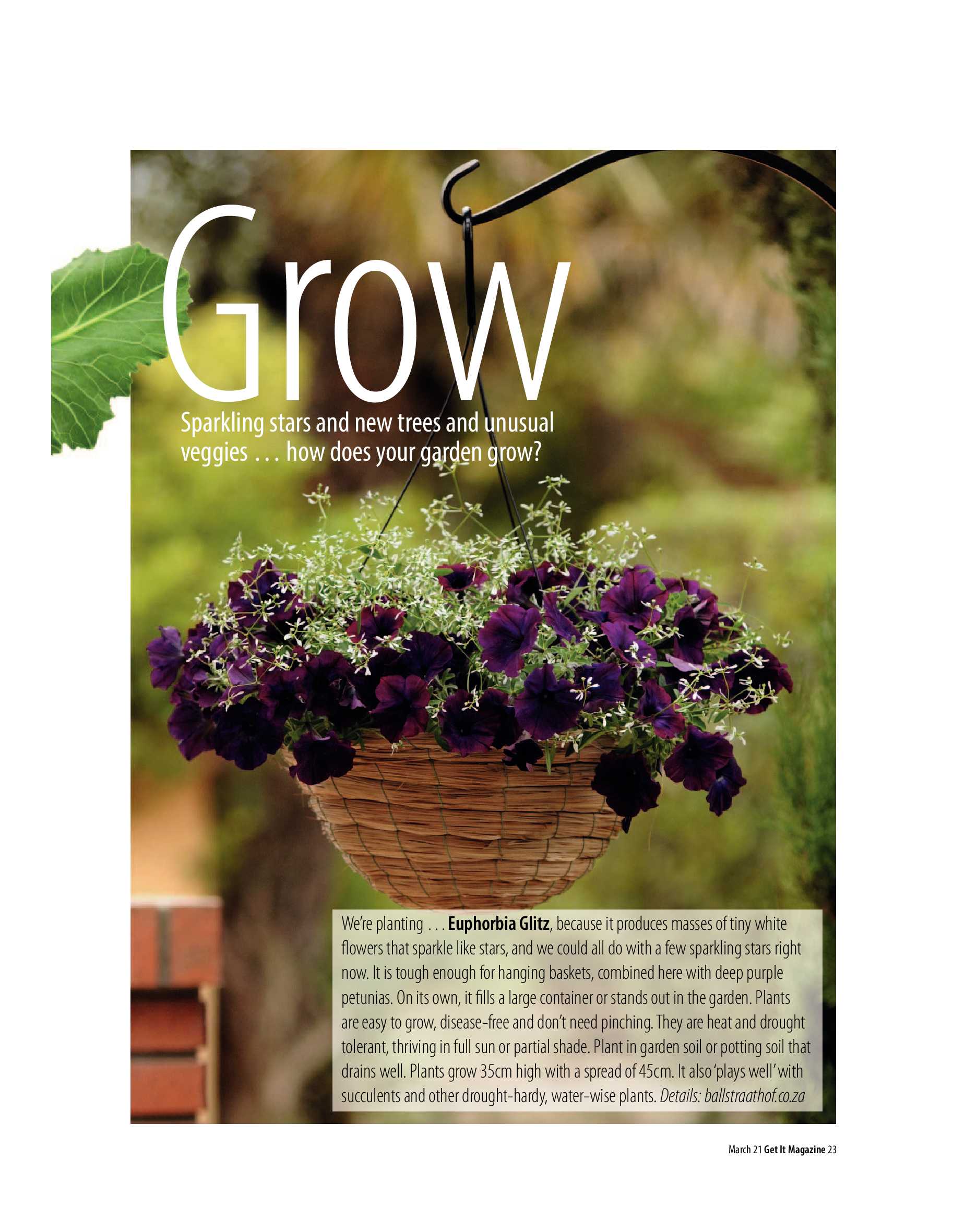 Get It Joburg North March 2021 page 23