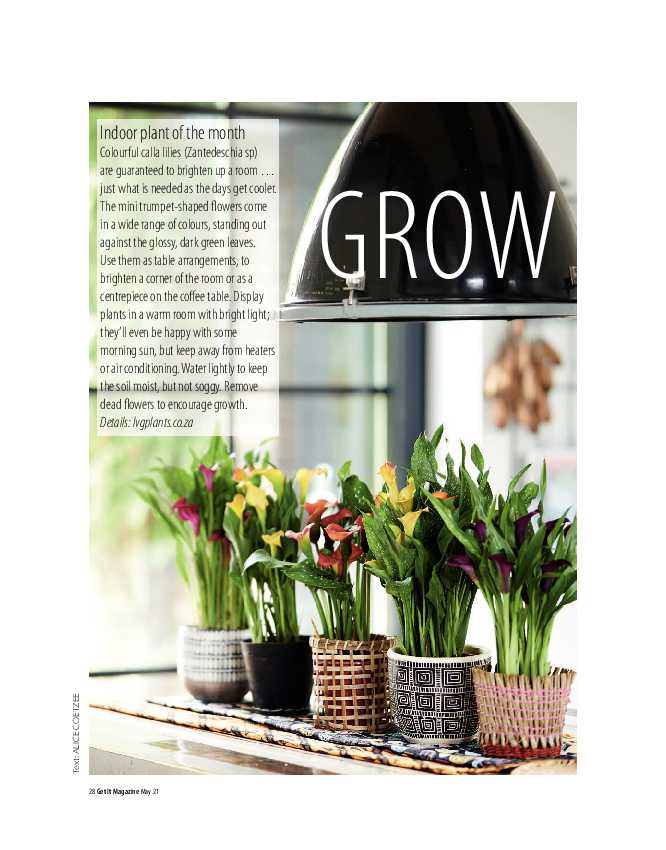 Get It Joburg North May 2021 page 28