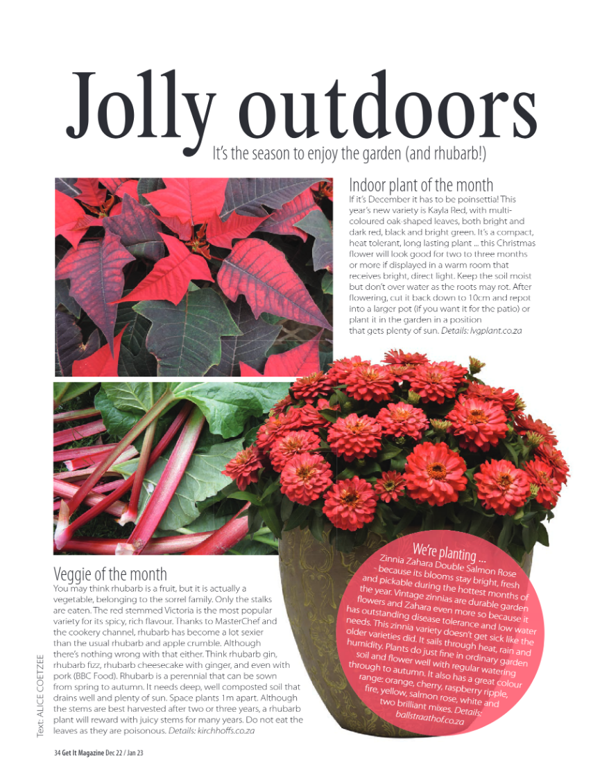 Get It North Dec 2022 page 34