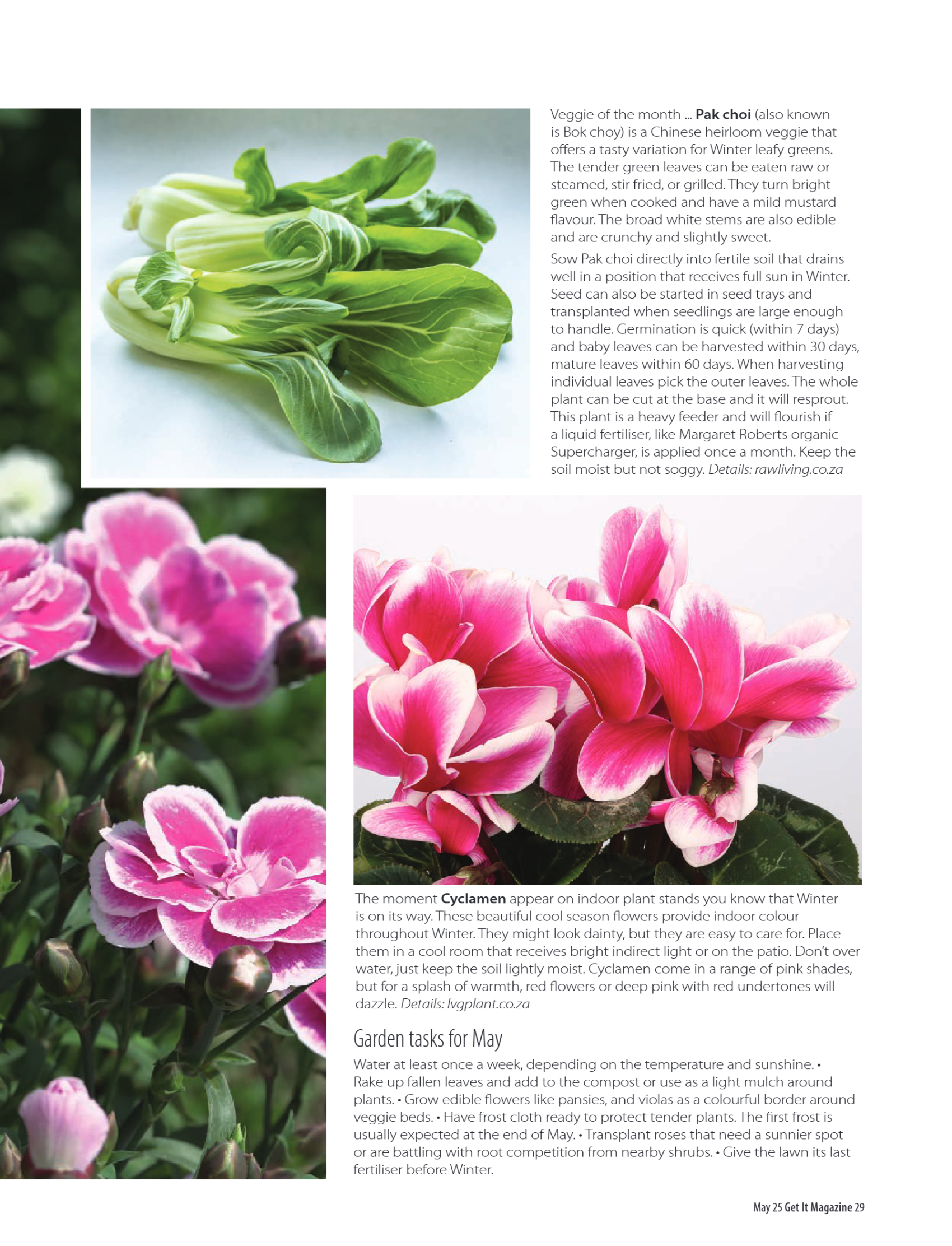 Get It North – May 2025 page 29