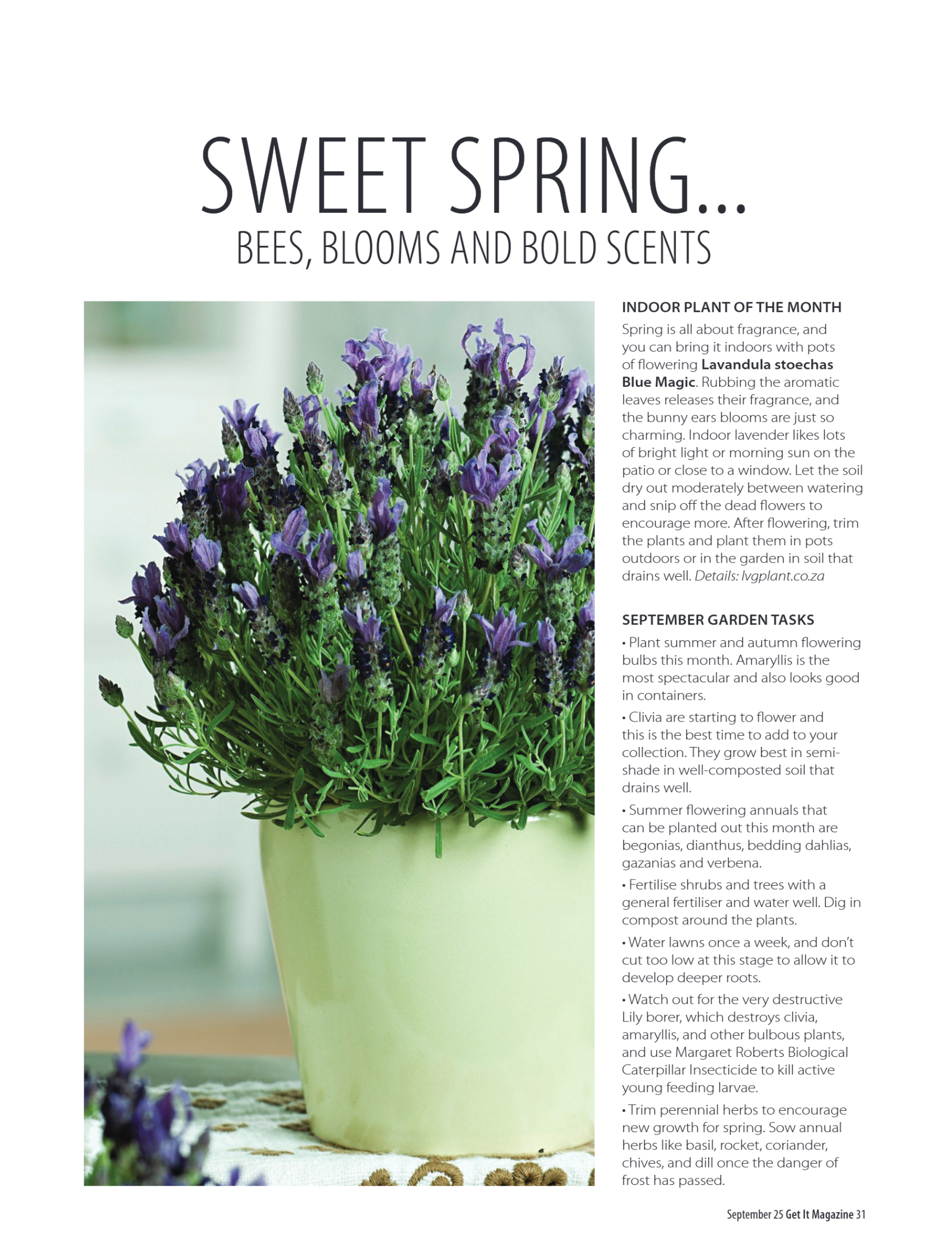 Get It North Sept 2025 page 31