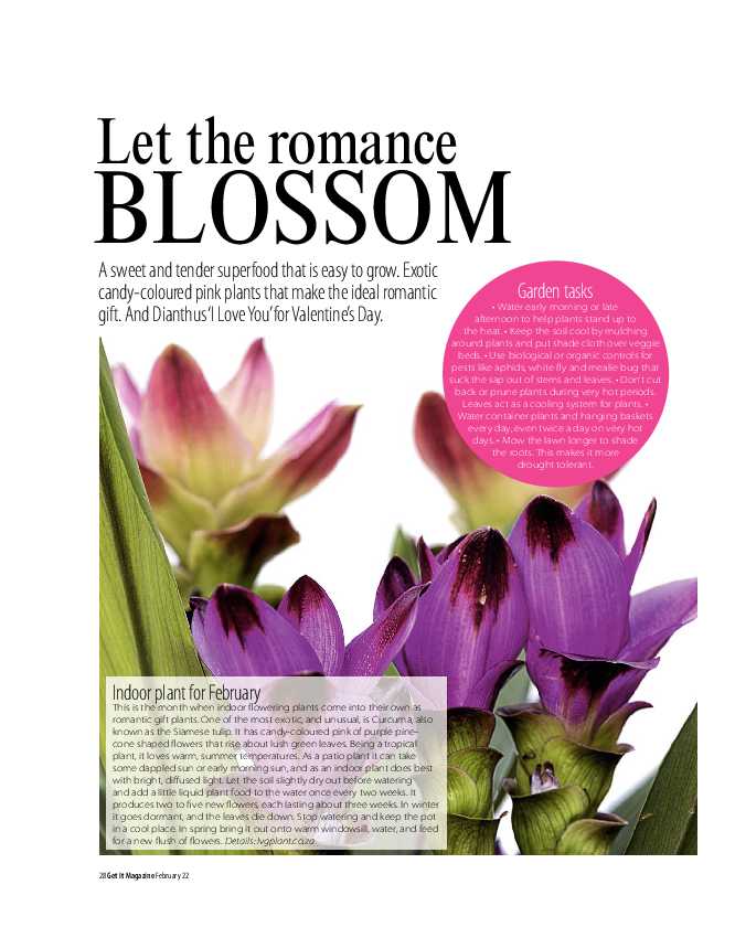 Get It Joburg North February 2022 page 28