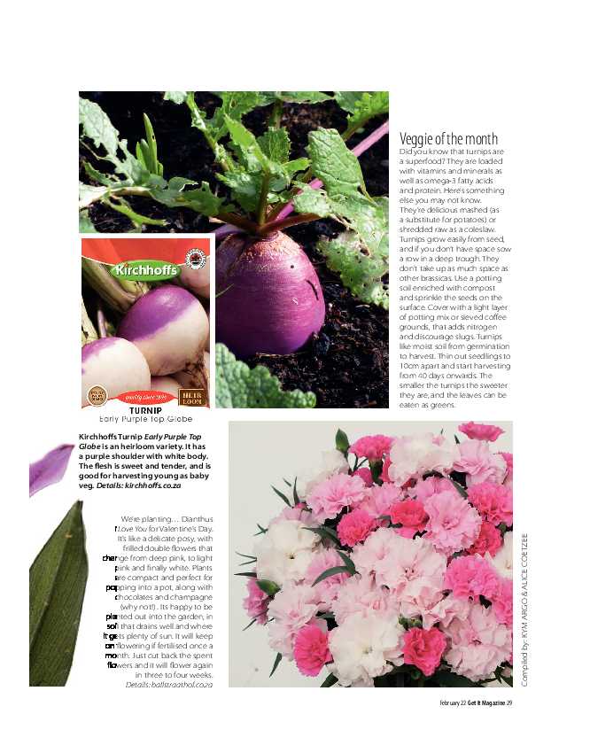 Get It Joburg North February 2022 page 29