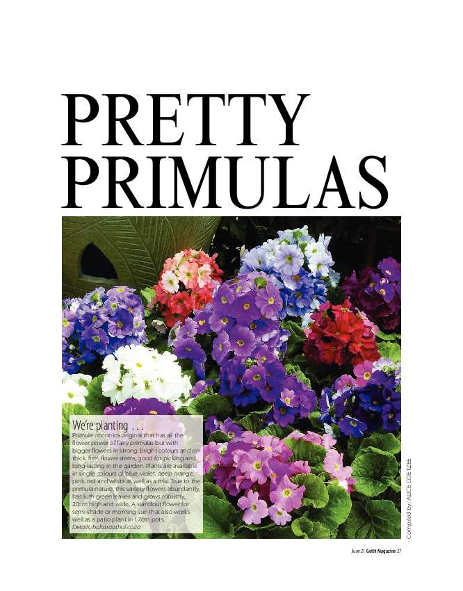 Get it Joburg North June 2021 page 27