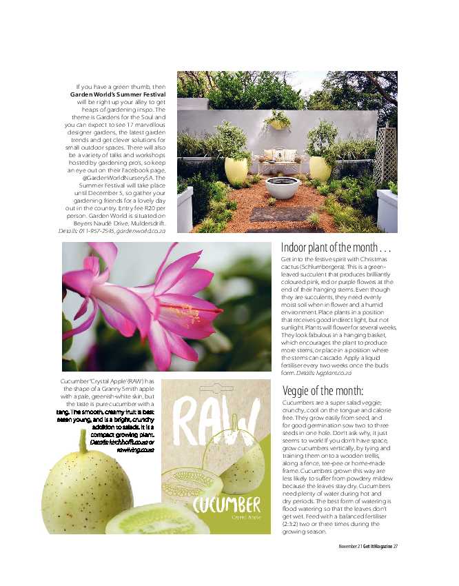 Get it Joburg North November 2021 page 27