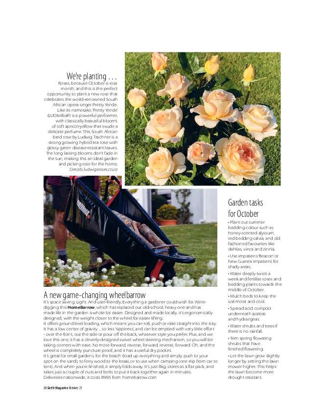 Get it Joburg North October 2021 page 28