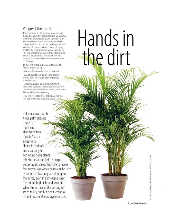 Get it Joburg North October 2021 page 29